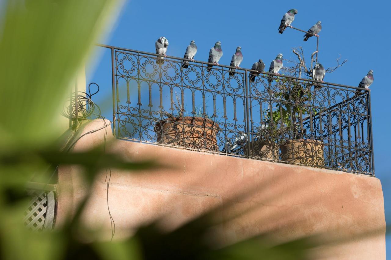 Riad El Maktoub مراكش المظهر الخارجي الصورة